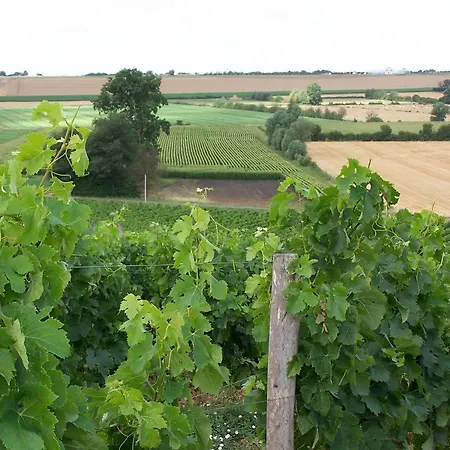 Chateau De La Sebrandiere ホテル Le Gué-de-Velluire